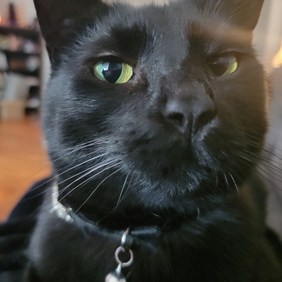 witchylegan